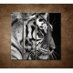 Obrazy na stenu - Tiger - detail - 4dielny 120x120cm