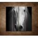 Obrazy na stenu - Biely kôň - 4dielny 120x120cm