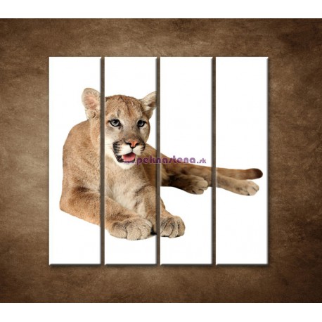 Obrazy na stenu - Levica - 4dielny 120x120cm