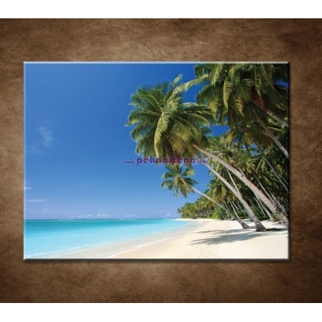 Obrazy na stenu - Pláž s palmami - 120x90cm - VÝPREDAJ!!!