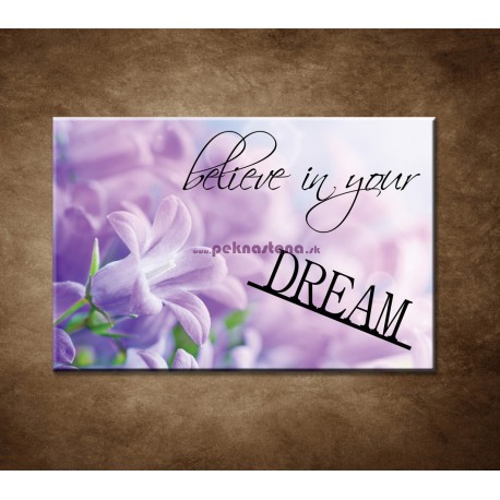 Obrazy na stenu - Believe in your dream