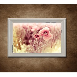 Obraz na stenu - Ranná lúka kvetov - bledý rám