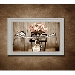 Obraz na stenu - Starý bicykel s kvetmi - bledý rám