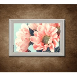 Obraz na stenu - Lososové kvety - bledý rám