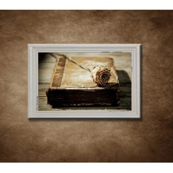 Obraz na stenu - Stará kniha - bledý rám