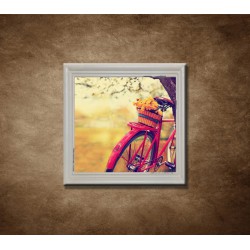 Obraz na stenu - Púpavy na bicykli - bledý rám