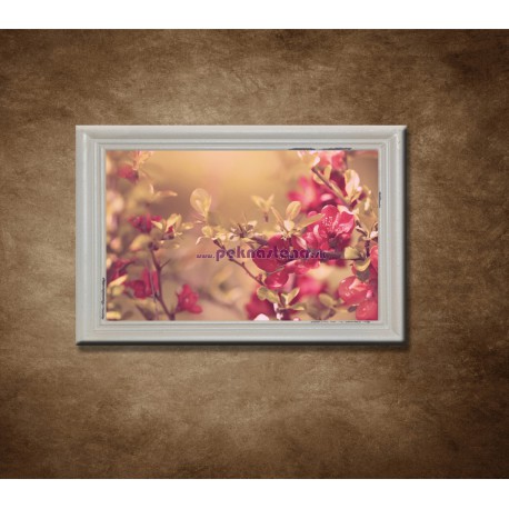 Obrazy na stenu - Vintage červené kvety - bledý rám
