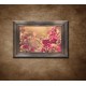 Obrazy na stenu - Vintage červené kvety - tmavý rám