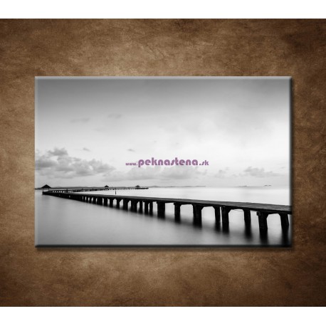 Obraz na stenu - Most na pláži