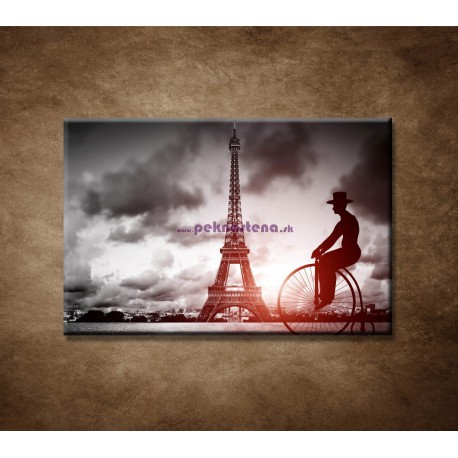 Obrazy na stenu - Muž na bicykli
