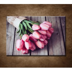Obrazy na stenu - Jarné tulipány