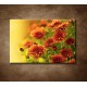 Obrazy na stenu - Jesenné chryzantémy