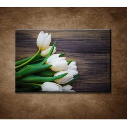 Obrazy na stenu - Prvé tulipány