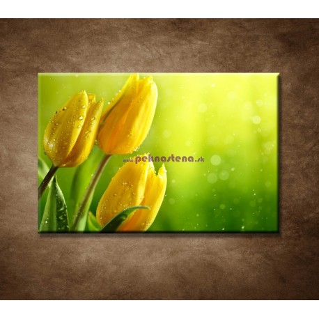 Obrazy na stenu - Žlté tulipány