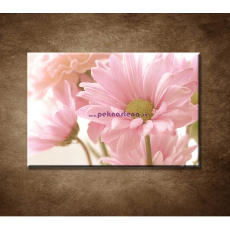 Obrazy na stenu - Ružová gerbera