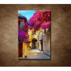Obrazy na stenu - Ulička v Provence