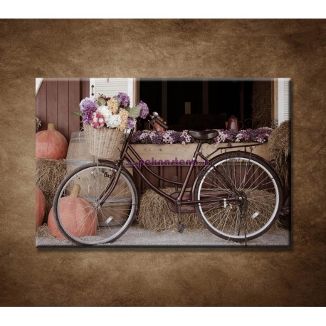 Obrazy na stenu - Bicykel a kvety