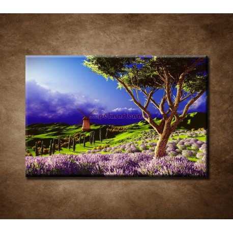 Obrazy na stenu - Levanduľové pole pred búrkou