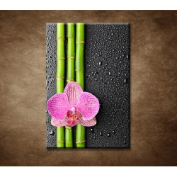 Obraz - Orchidea a bambus