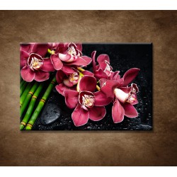 Obraz - Bordová orchidea a bambus