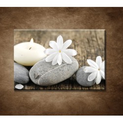 Obraz - Sivé kamene a biele kvety