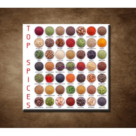 Obrazy na stenu - Kolekcia korenín