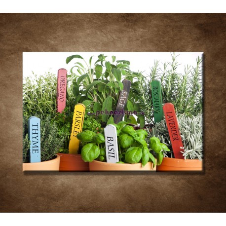 Obrazy na stenu - Sedem druhov bylín