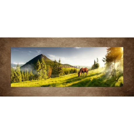 Obrazy na stenu - Kôň na pastvine