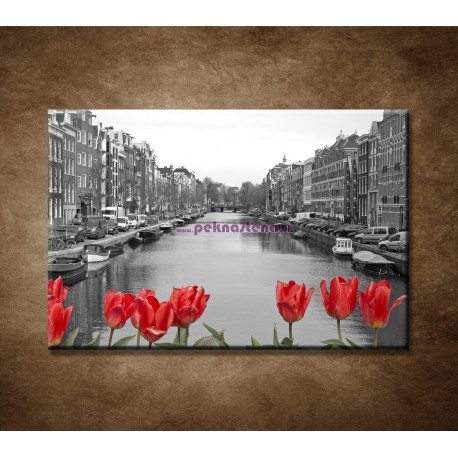 Obrazy na stenu - Tulipány v Amsterdame