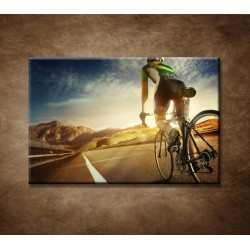 Obrazy na stenu - Cyklistka