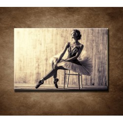 Obrazy na stenu - Profesionálna baletka