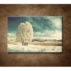 Obrazy na stenu - Zimná krajina
