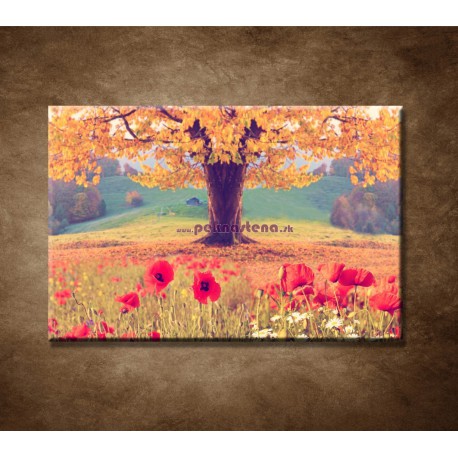 Obrazy na stenu - Jesenný strom 
