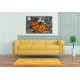 Obrazy na stenu - Oranžový motýľ