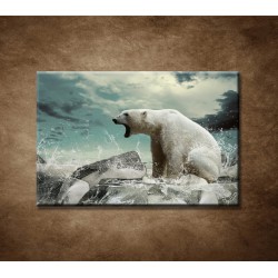 Obrazy na stenu - Polárny medveď