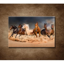 Obrazy na stenu - Stádo koní