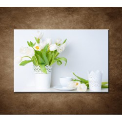 Obrazy na stenu - Čerstvé tulipány