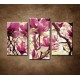 Obrazy na stenu - Kvety magnólie - 3dielny 75x50cm