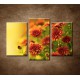 Obrazy na stenu - Jesenné chryzantémy - 3dielny 75x50cm