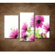 Obrazy na stenu - Ružové sedmokrásky - 3dielny 75x50cm