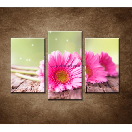 Obrazy na stenu - Tri ružové gerbery - 3dielny 75x50cm