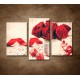 Obrazy na stenu - Valentínske ruže - 3dielny 75x50cm