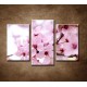 Obrazy na stenu - Vetvička čerešne - 3dielny 75x50cm