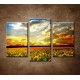 Obrazy na stenu - Slnečnice pri západe - 3dielny 75x50cm