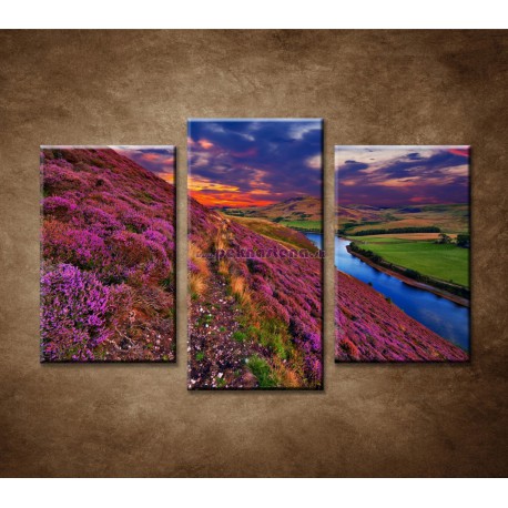 Obrazy na stenu - Farebná krajina - 3dielny 75x50cm