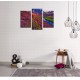 Obrazy na stenu - Farebná krajina - 3dielny 75x50cm