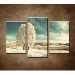 Obrazy na stenu - Zimná krajina - 3dielny 75x50cm