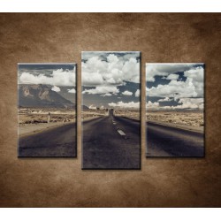 Obrazy na stenu - Púštna cesta - 3dielny 75x50cm