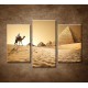 Obrazy na stenu - Ťava v púšti - 3dielny 75x50cm