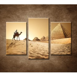 Obrazy na stenu - Ťava v púšti - 3dielny 75x50cm